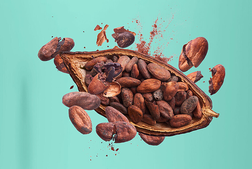 Полезный напиток: свойства какао, о которых вы не знали